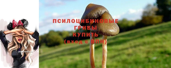 мет Армянск