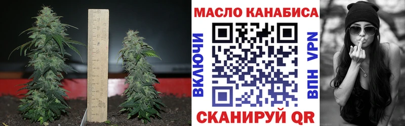 Дистиллят ТГК Wax даркнет сайт blacksprut онион Певек