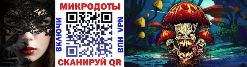 Псилоцибиновые грибы Psilocybe Певек