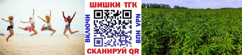 Бошки Шишки планчик  Певек 